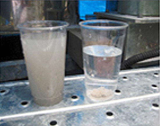 原水（左）と処理水（右）